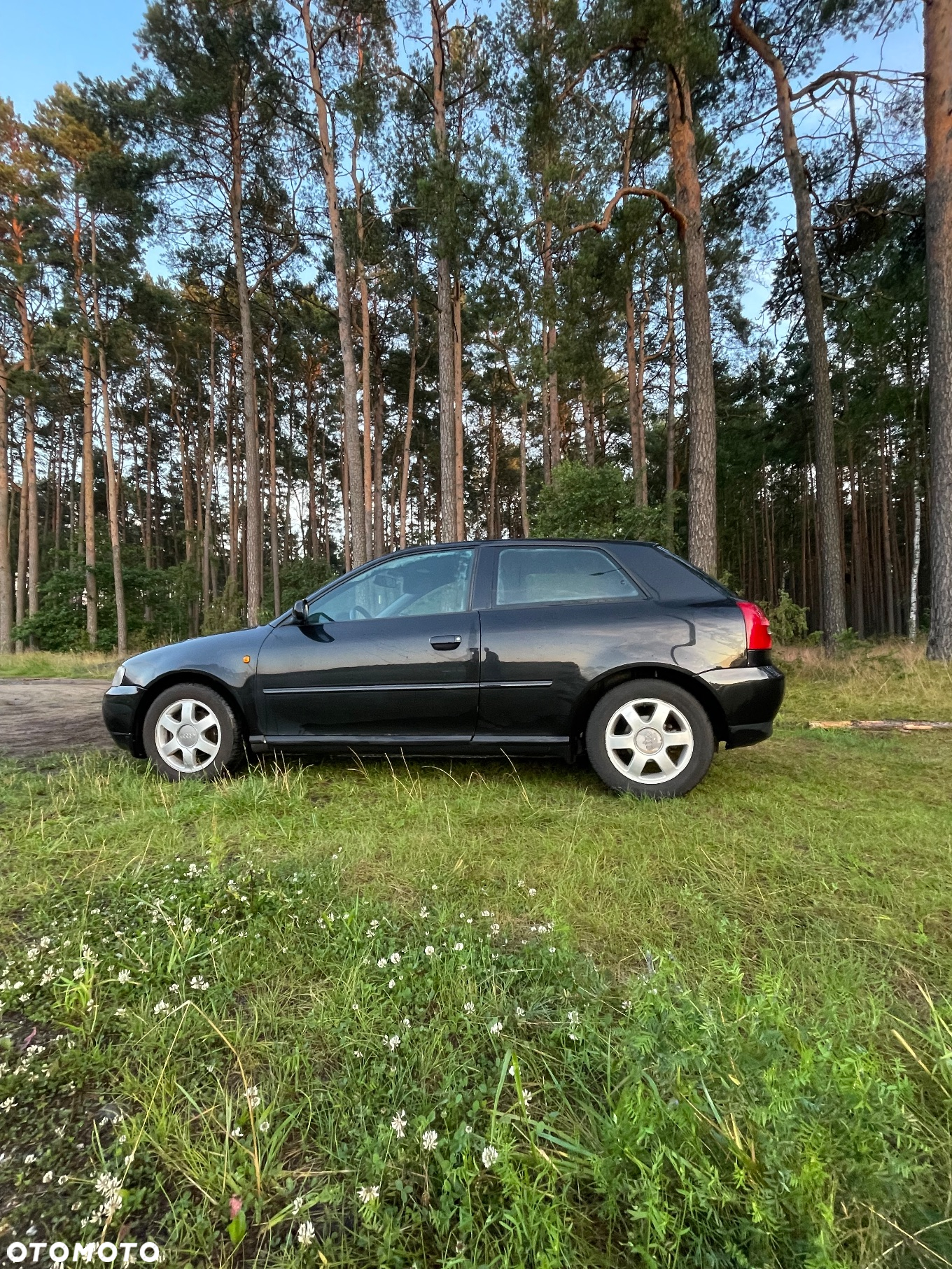 Audi A3 - 6