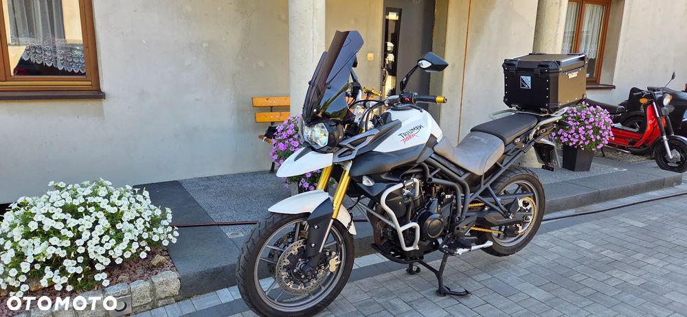 Triumph Tiger - 9
