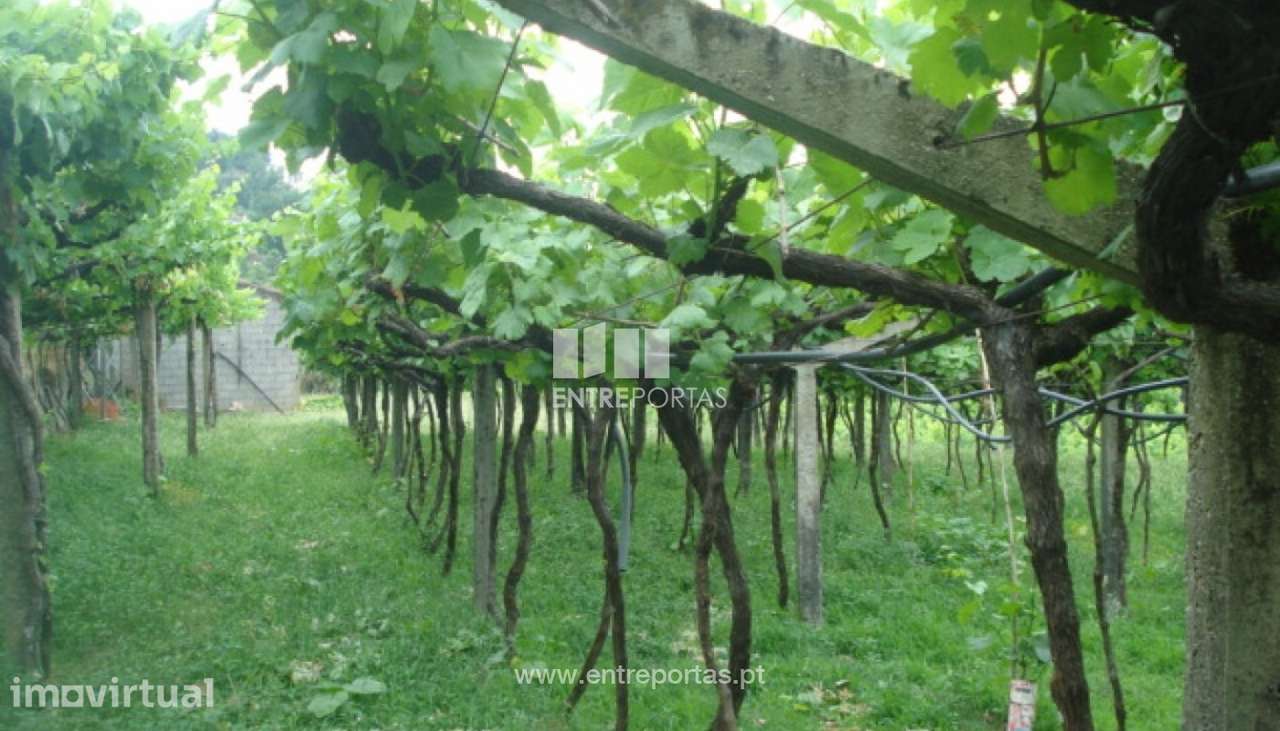Venda Terreno, junto à estrada, Penha Longa, Marco de Canaveses - Grande imagem: 4/10
