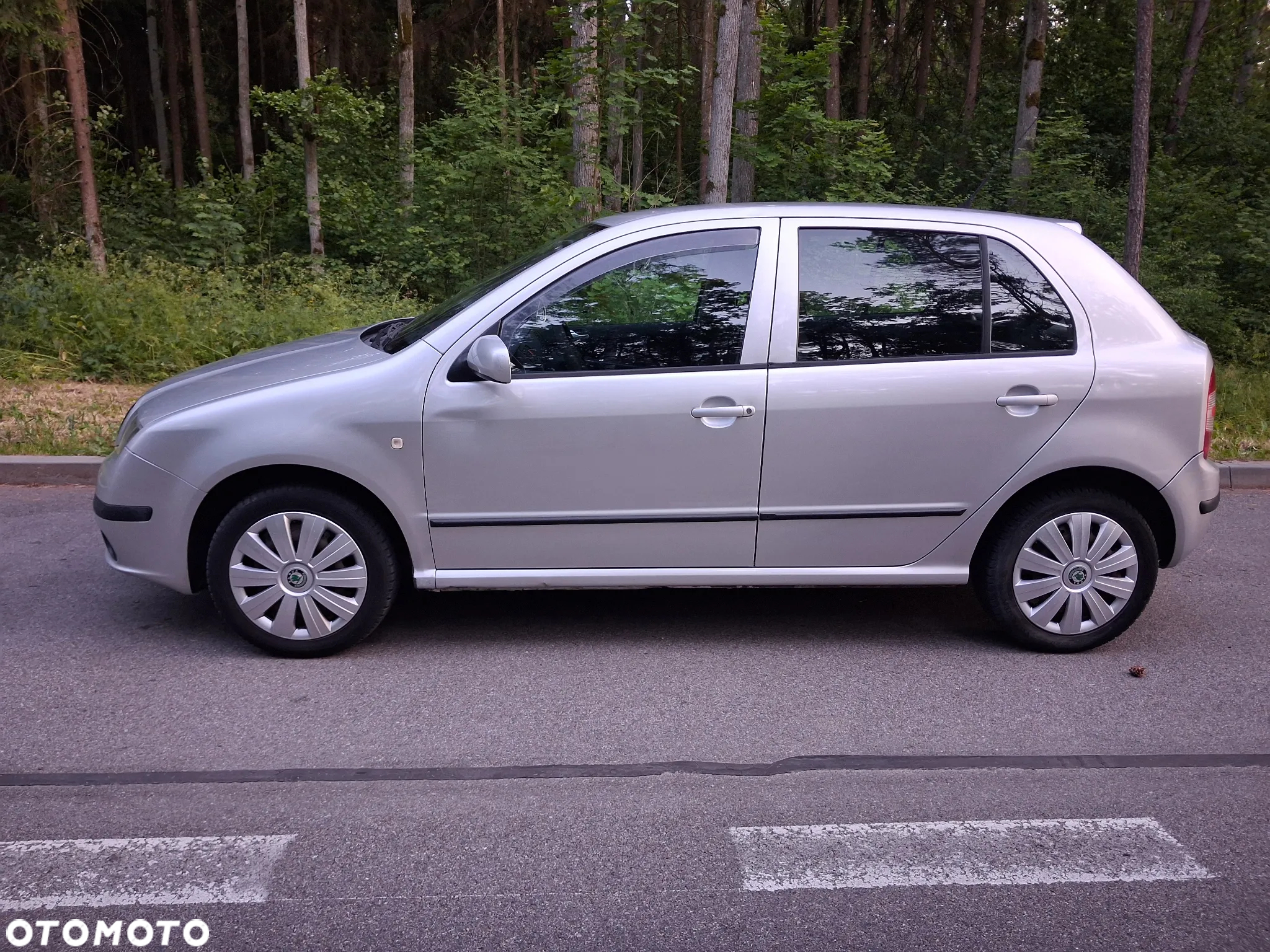 Skoda Fabia - 2