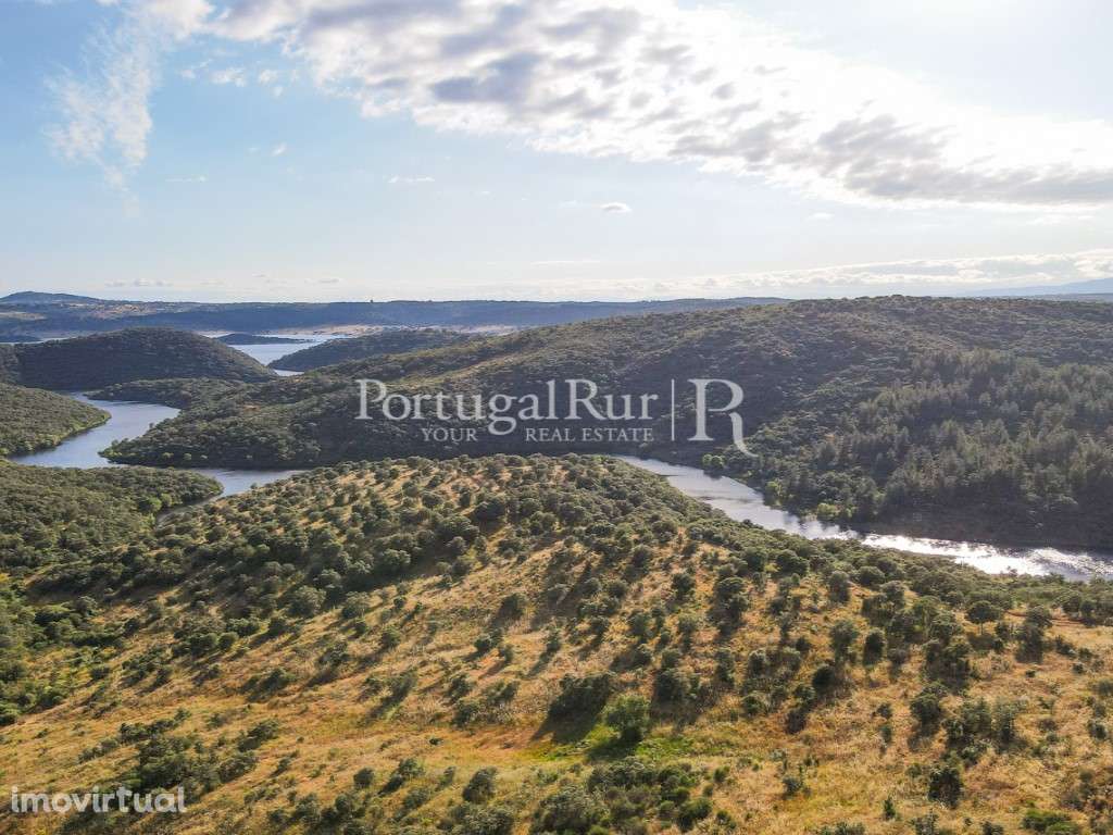 Herdade de 145 Hectares Junto ao Rio - Grande imagem: 4/14