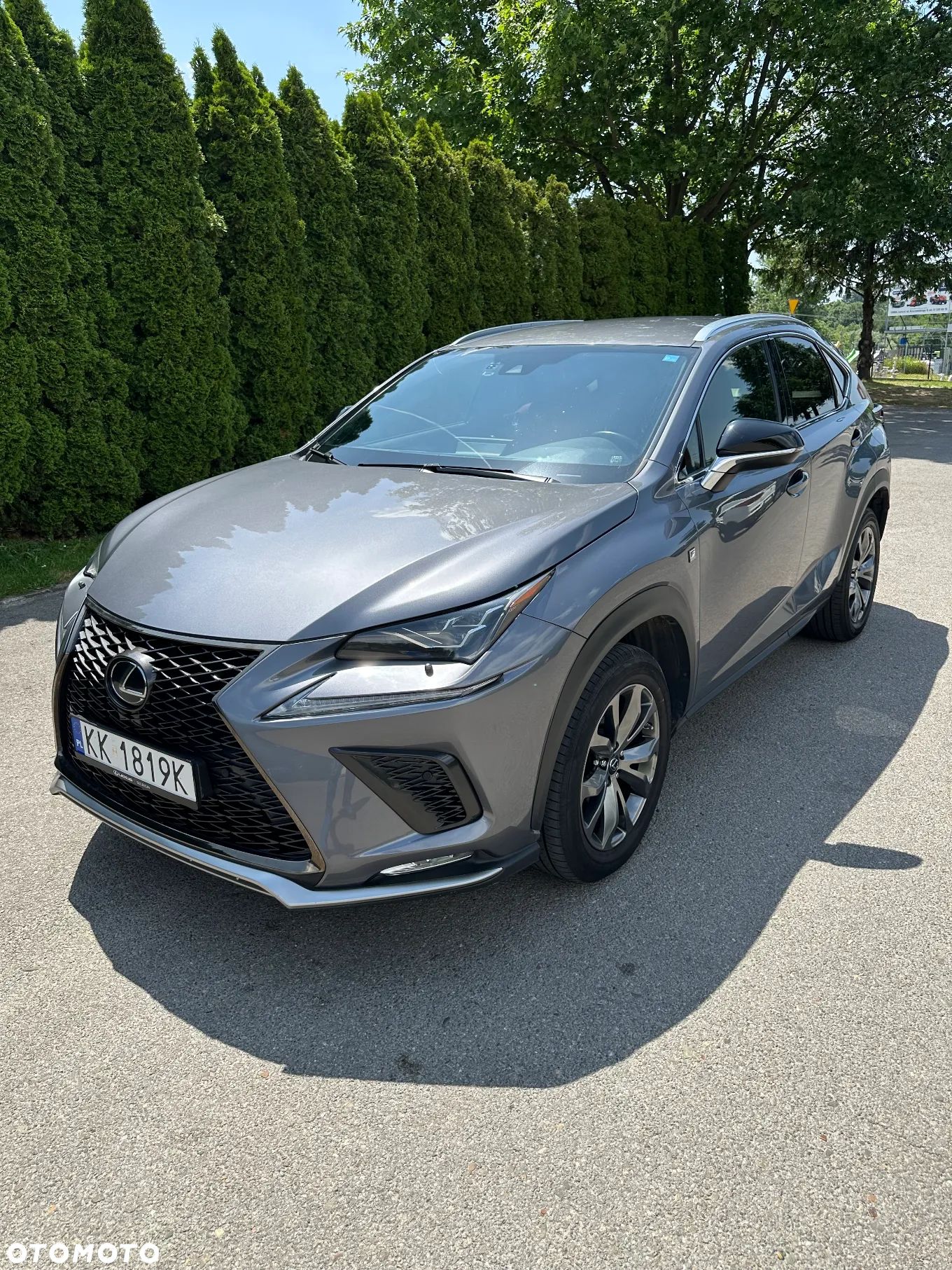 Lexus NX 300 F Sport AWD - 1