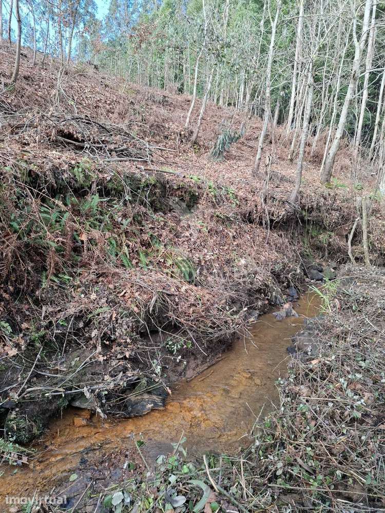 terreno Rustico com 2400 m2 - Grande imagem: 2/24