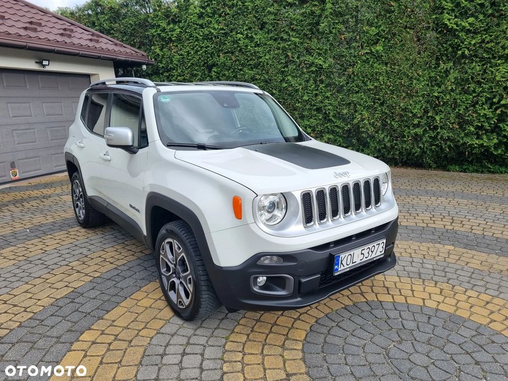 Jeep Renegade 2.0 MultiJet Active Drive Limited Adventure Edition - 2