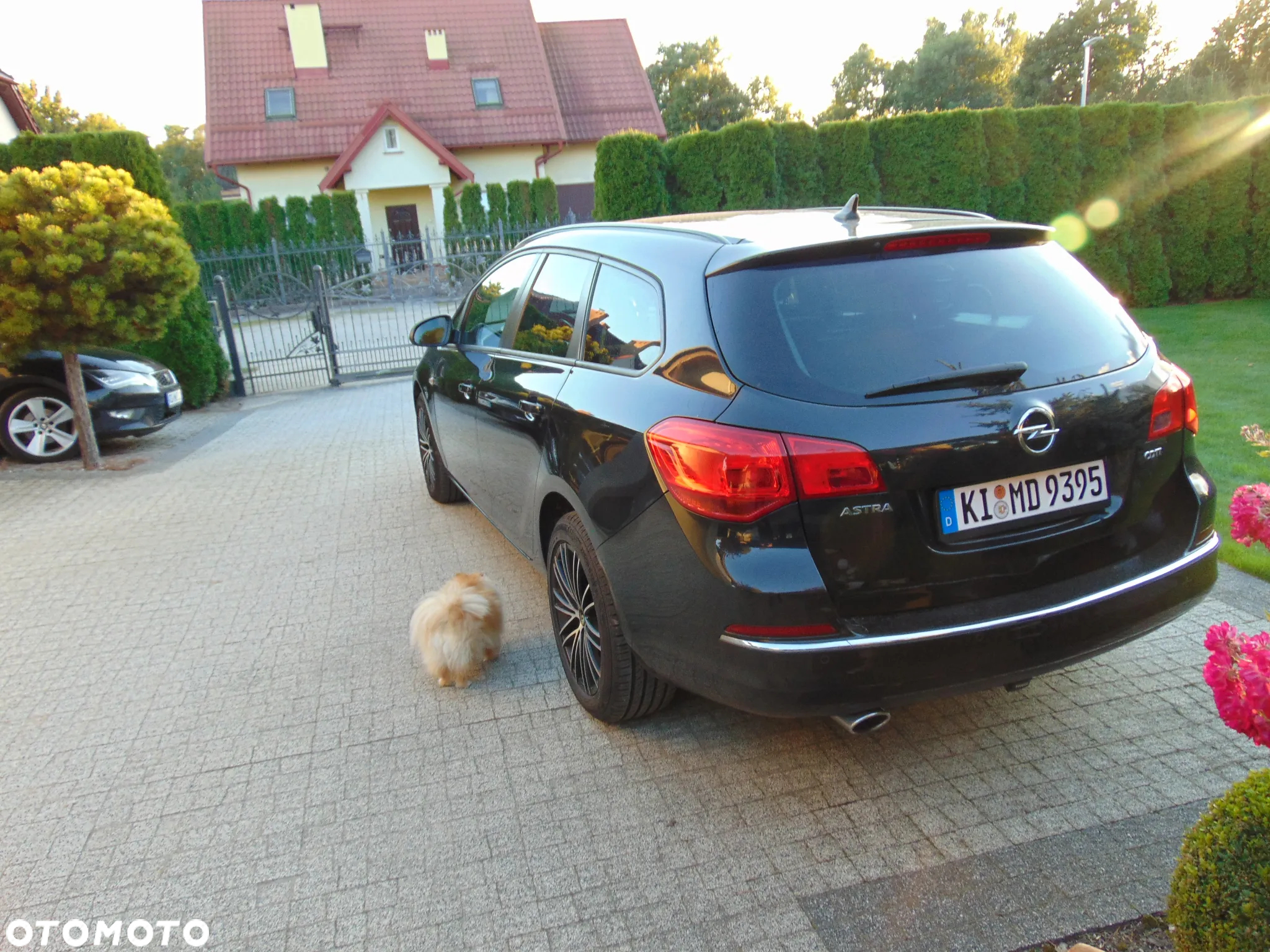 Opel Astra 2.0 CDTI ENERGY - 8