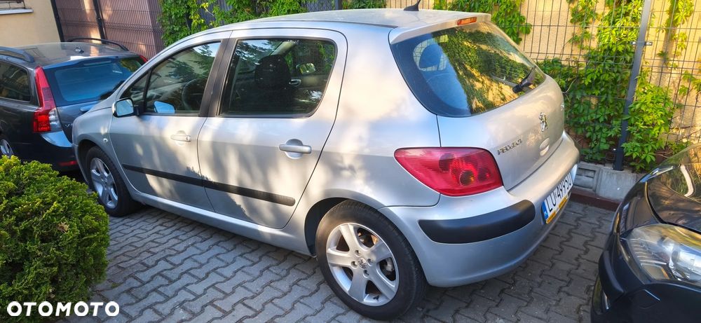 Peugeot 307 110 Grand Filou - 9