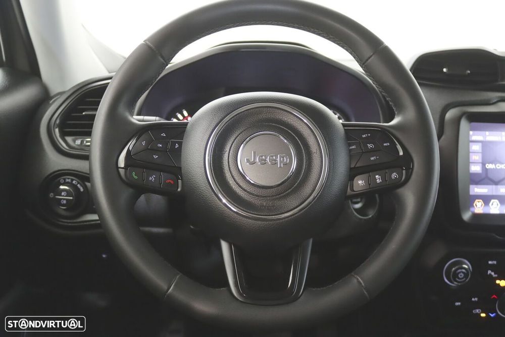 Jeep Renegade 1.3 TG Limited - 10