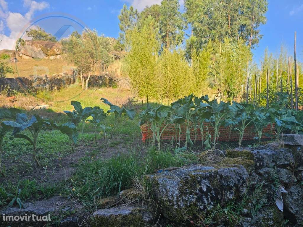 Moradia para restauro, lugar de Leiradas, Cabeceiras de Basto - Grande imagem: 4/27