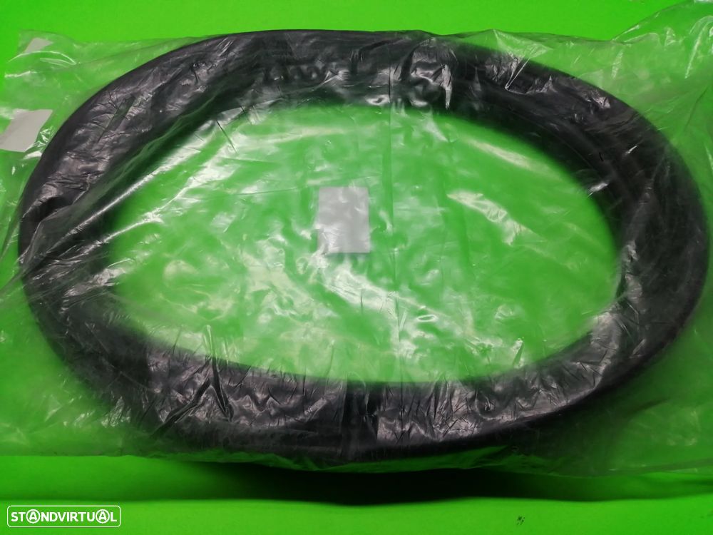 Borracha do Vidro Traseiro - Mitsubishi L300 - 1