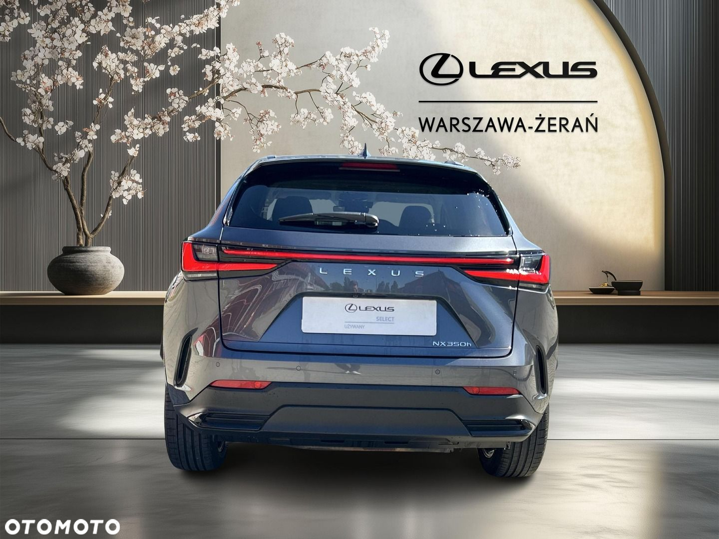 Lexus NX - 5