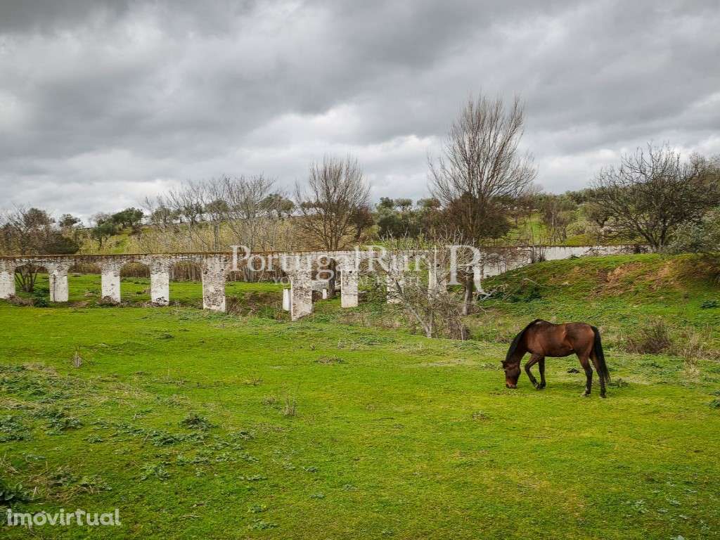 Quinta de 7 hectares com potêncial urbano - Grande imagem: 3/47