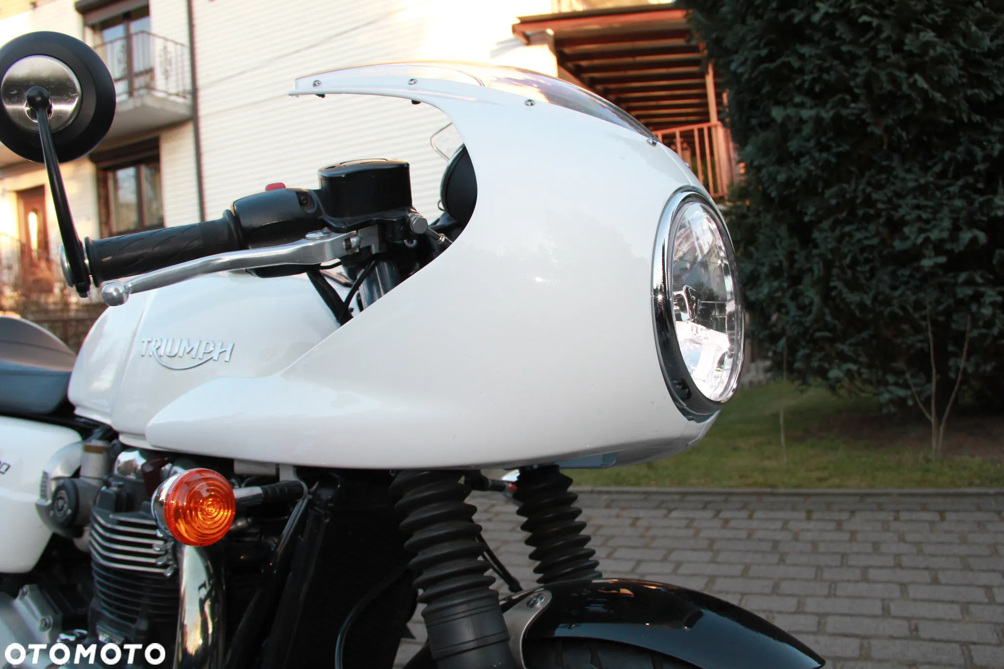 Triumph Thruxton - 10