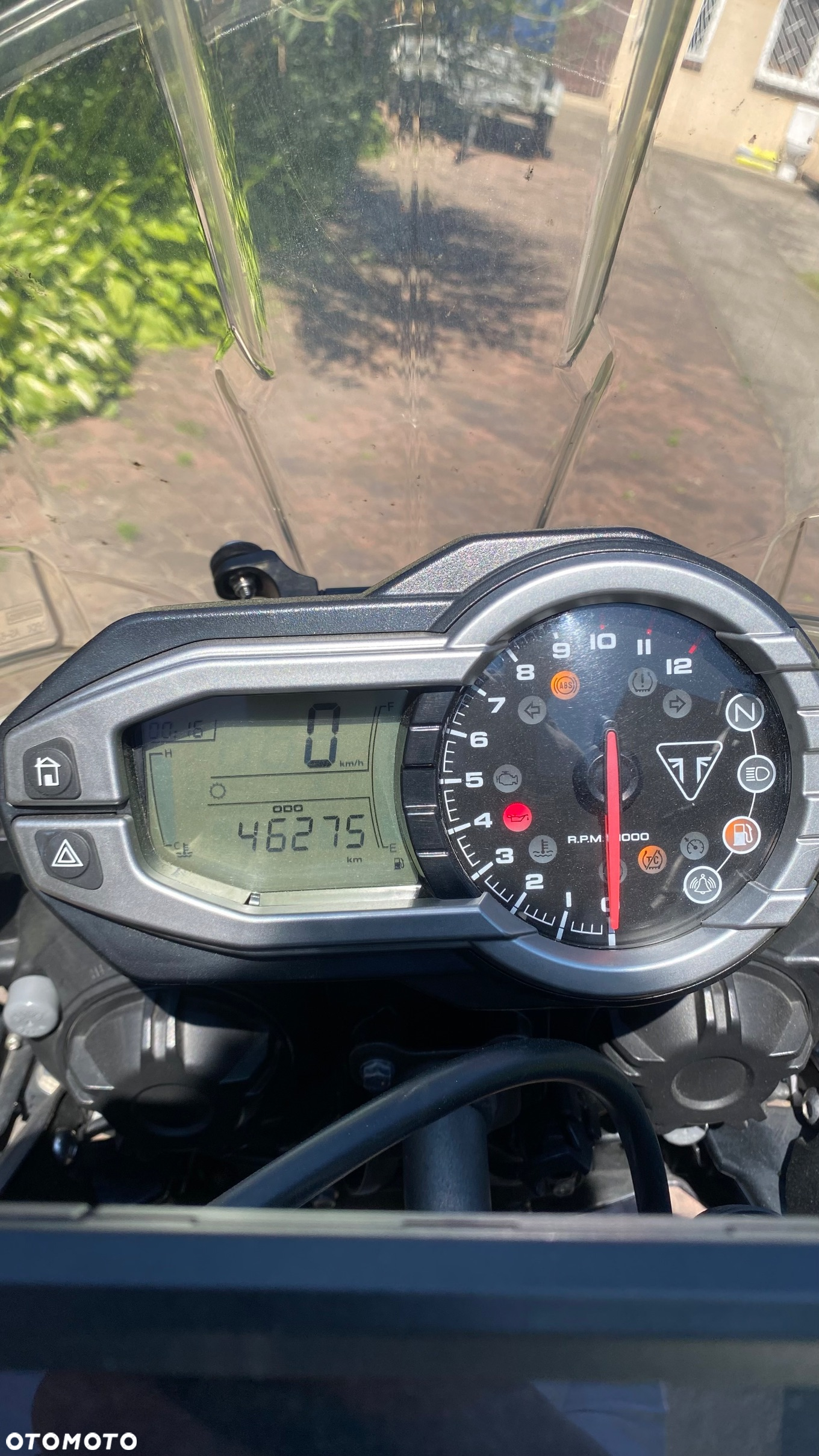 Triumph Tiger - 5