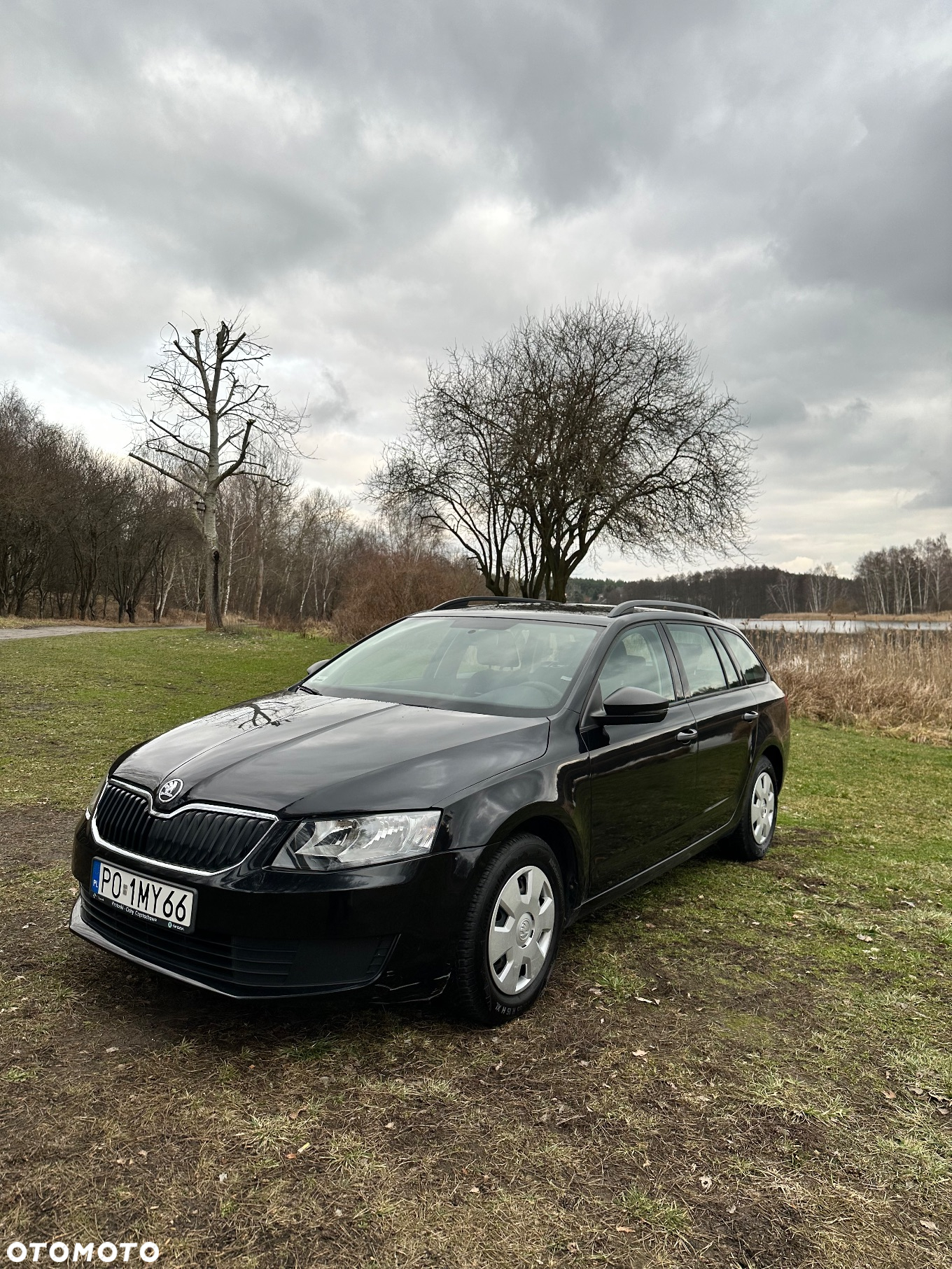 Skoda Octavia - 11