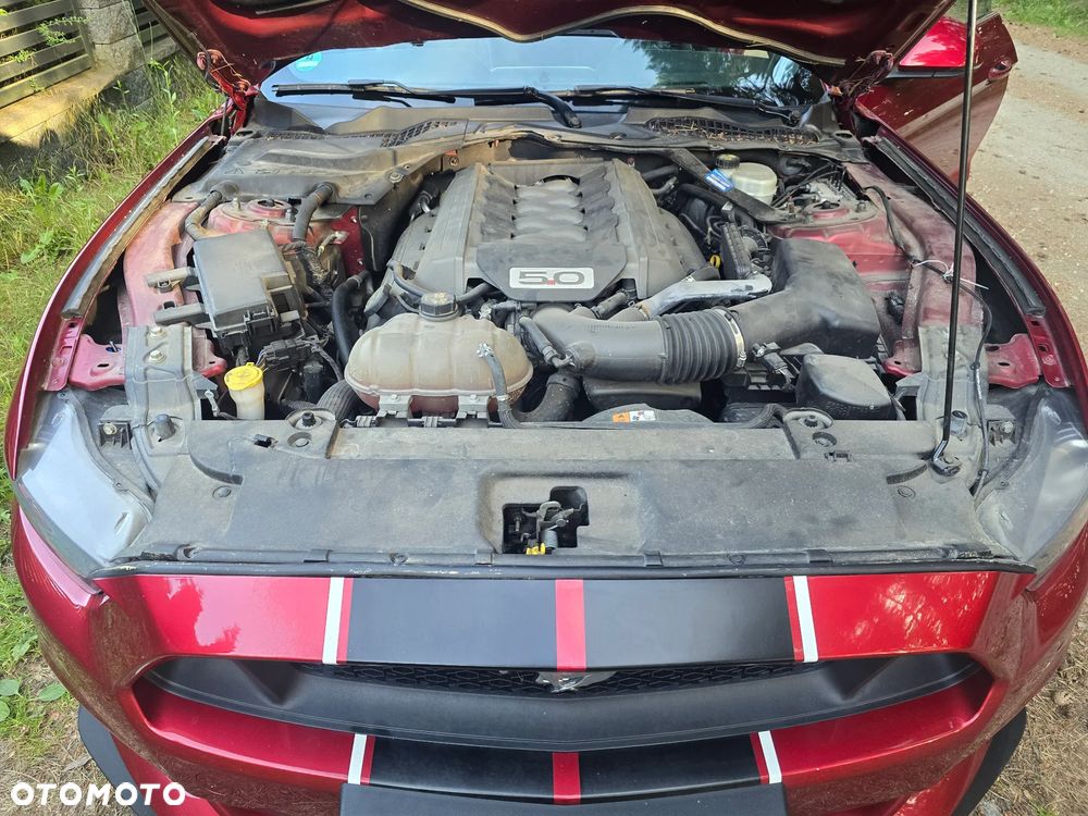 Ford Mustang 5.0 Ti-VCT V8 GT - 13