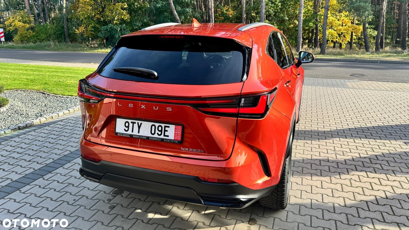 Lexus NX - 6