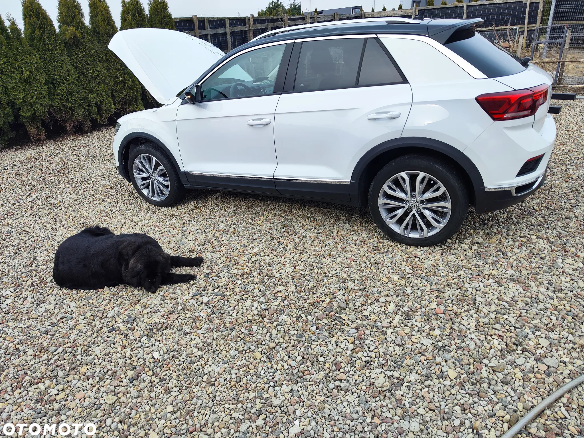 Volkswagen T-Roc - 2