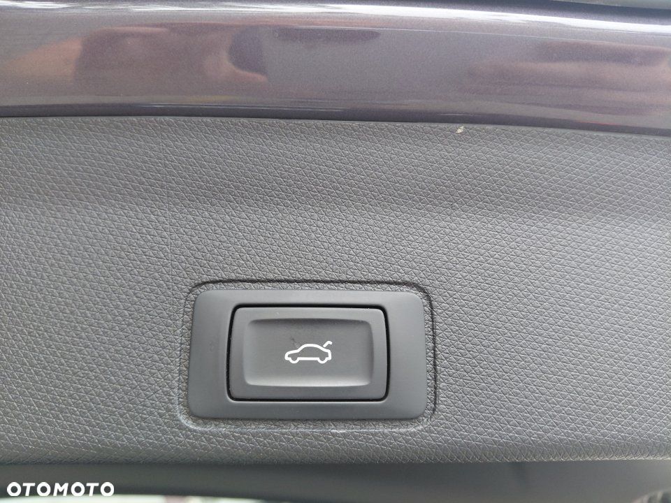 Cupra Terramar - 27