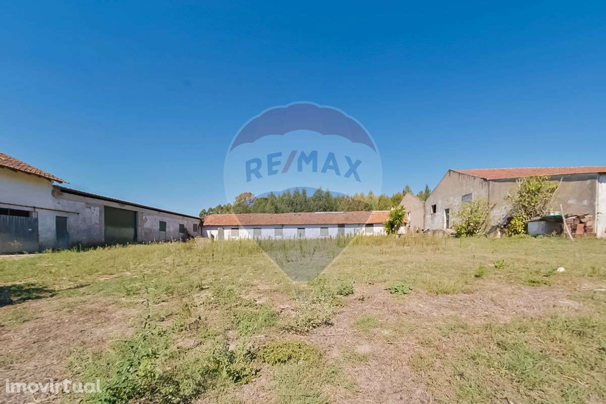 Quinta T2 para venda - Grande imagem: 5/27