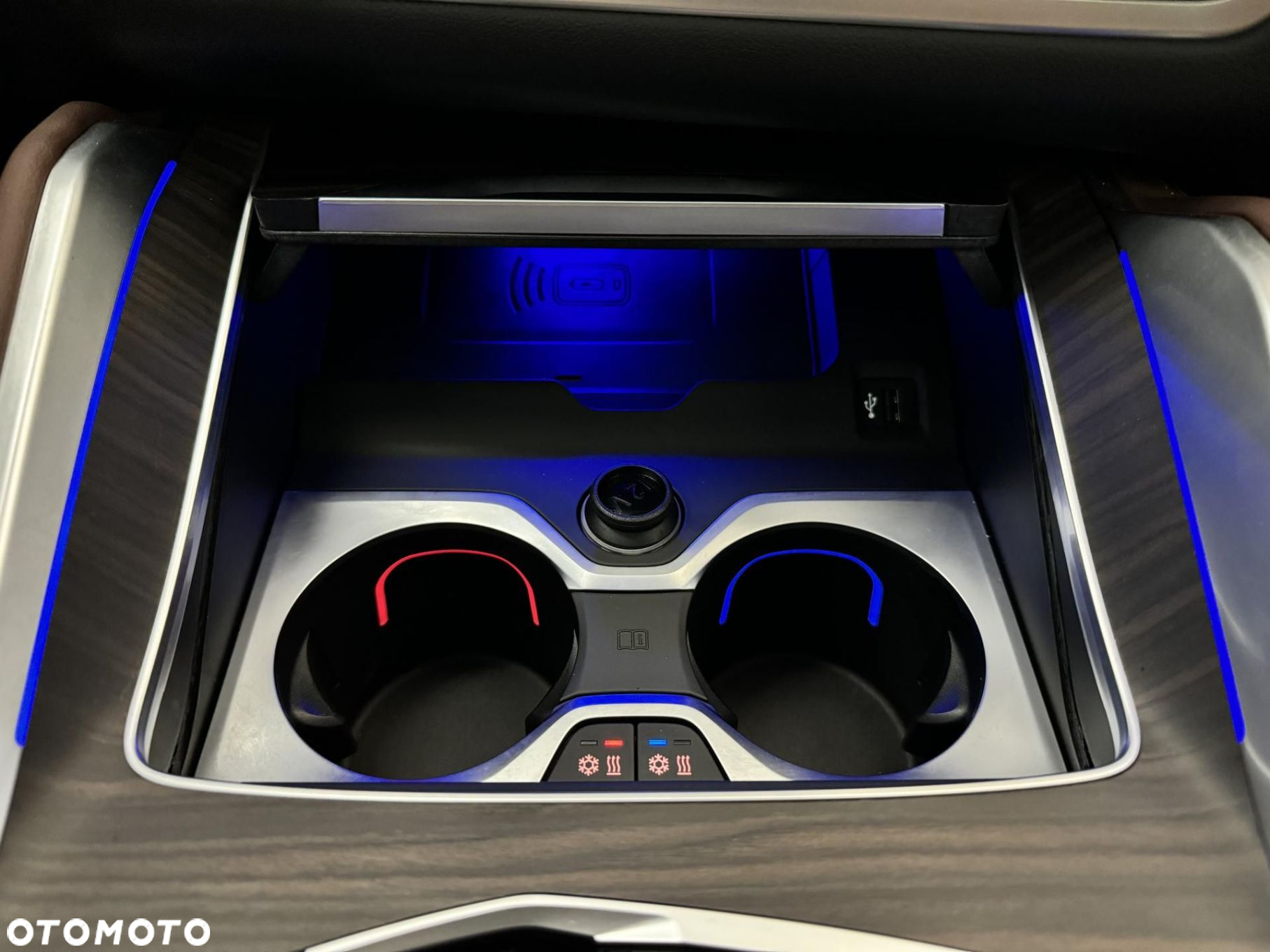 BMW X6 - 30