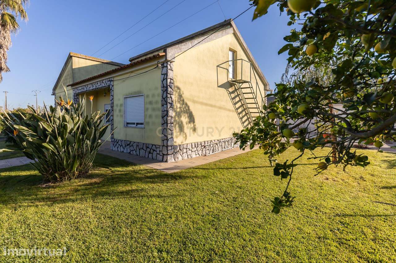 Quinta T4 com 1,4 Hectares: O Refúgio Perfeito entre a Cidade e a Natu - Grande imagem: 4/31