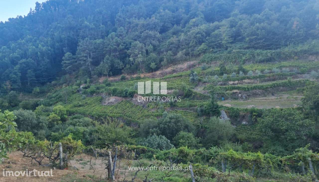 Venda de Terreno, Viariz Baião - Grande imagem: 3/17