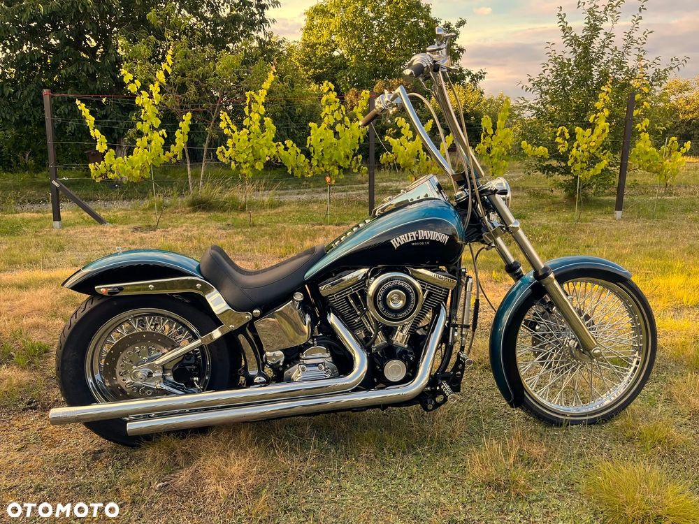 Harley-Davidson Softail Standard - 3