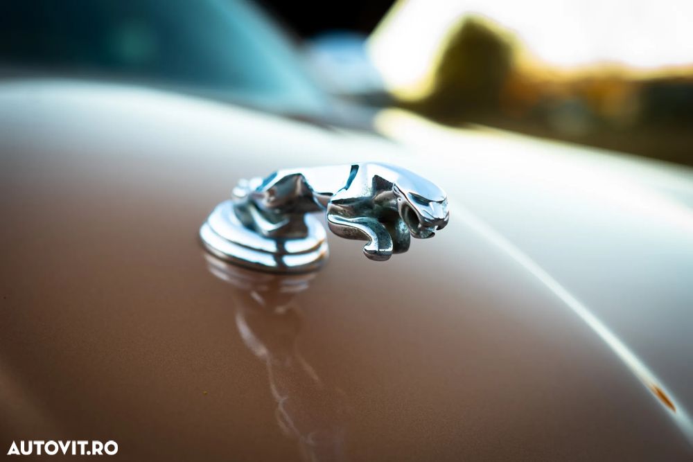 Jaguar XJ XJ8 4.2 V8 Executive Aut - 7