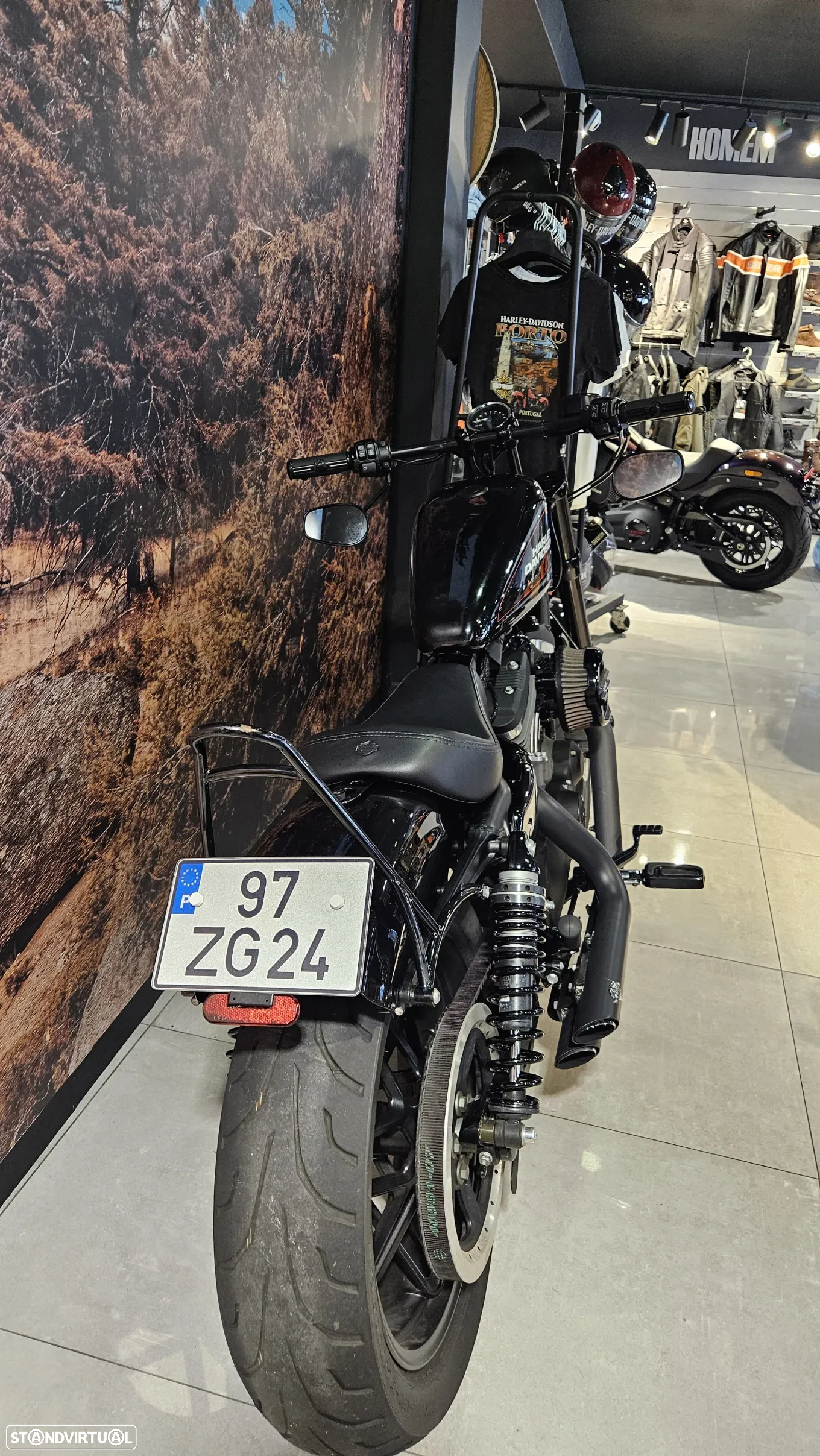 Harley-Davidson Sportster Roadster 1200 - 10