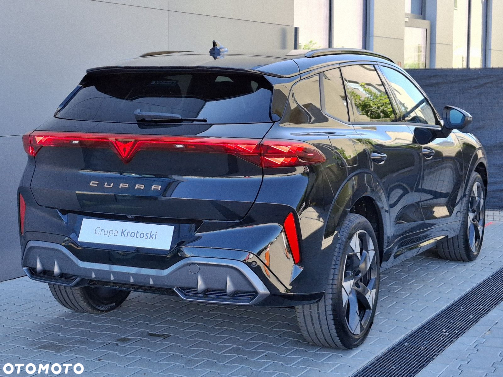 Cupra Terramar - 5