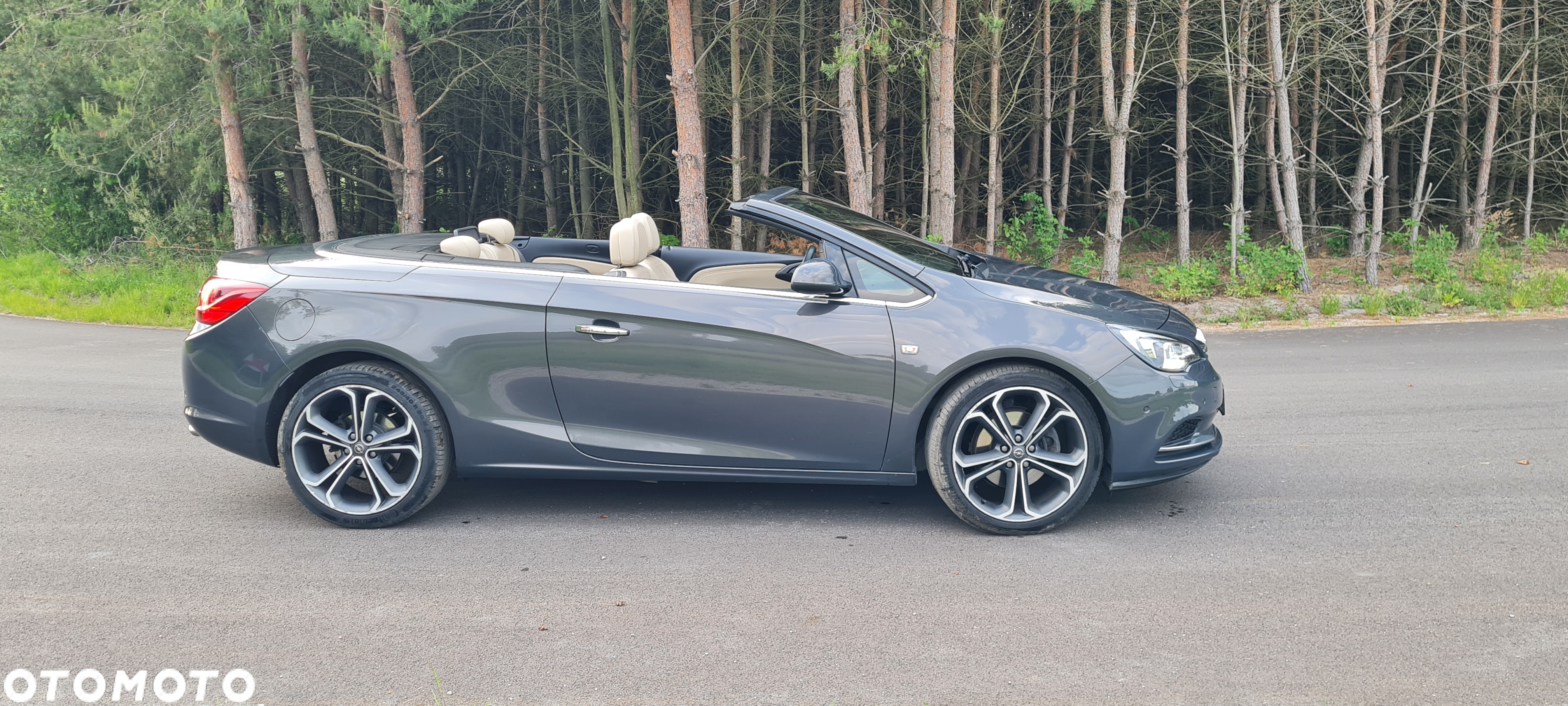 Opel Cascada 2.0 BiTurbo CDTI ecoFLEX Start/Stop Edition - 19