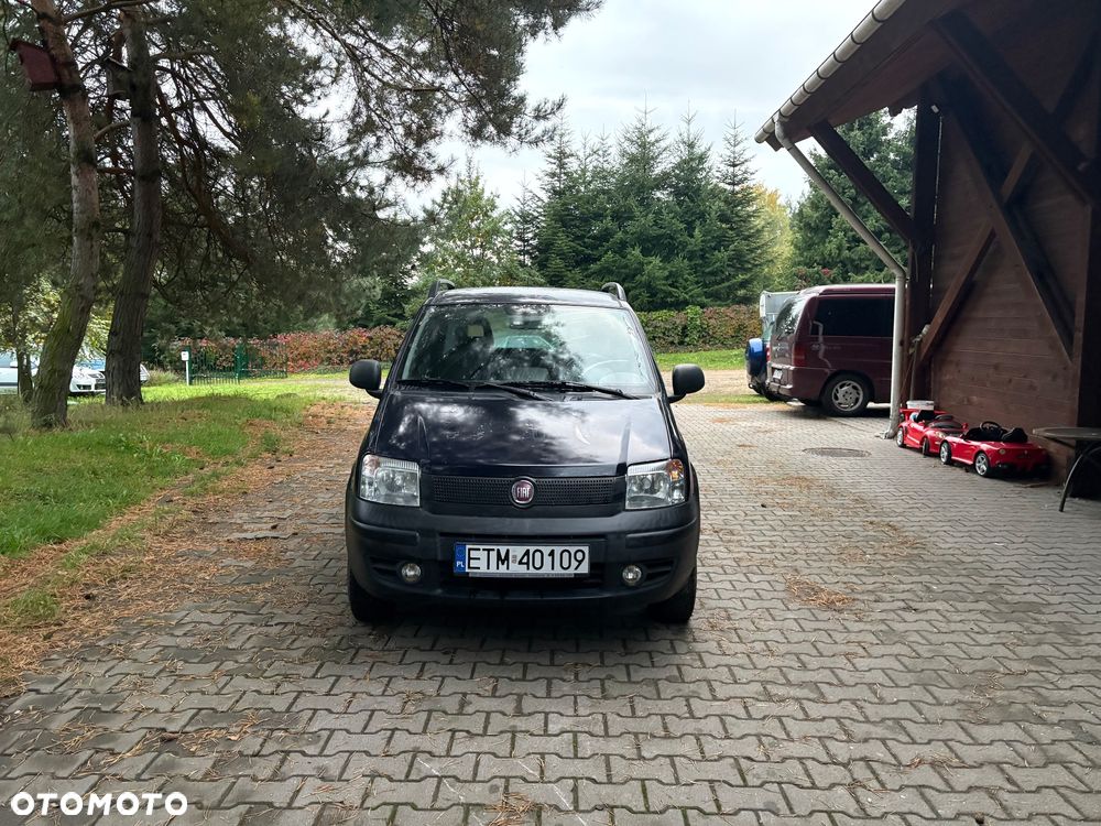 Fiat Panda 1.2 Dynamic Eco - 2