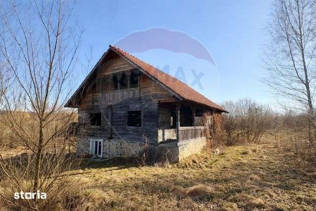 Casă traditionala+TEREN 6.000 mp - Imagine principală: 2/6