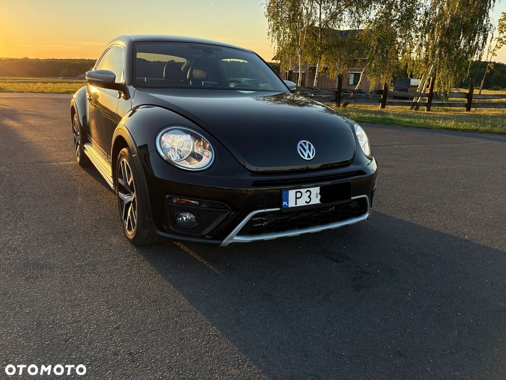 Volkswagen Beetle - 4