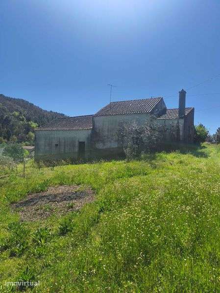 Quinta com casa pra reconstruir - Grande imagem: 2/8