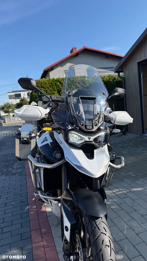 Triumph Tiger - 9
