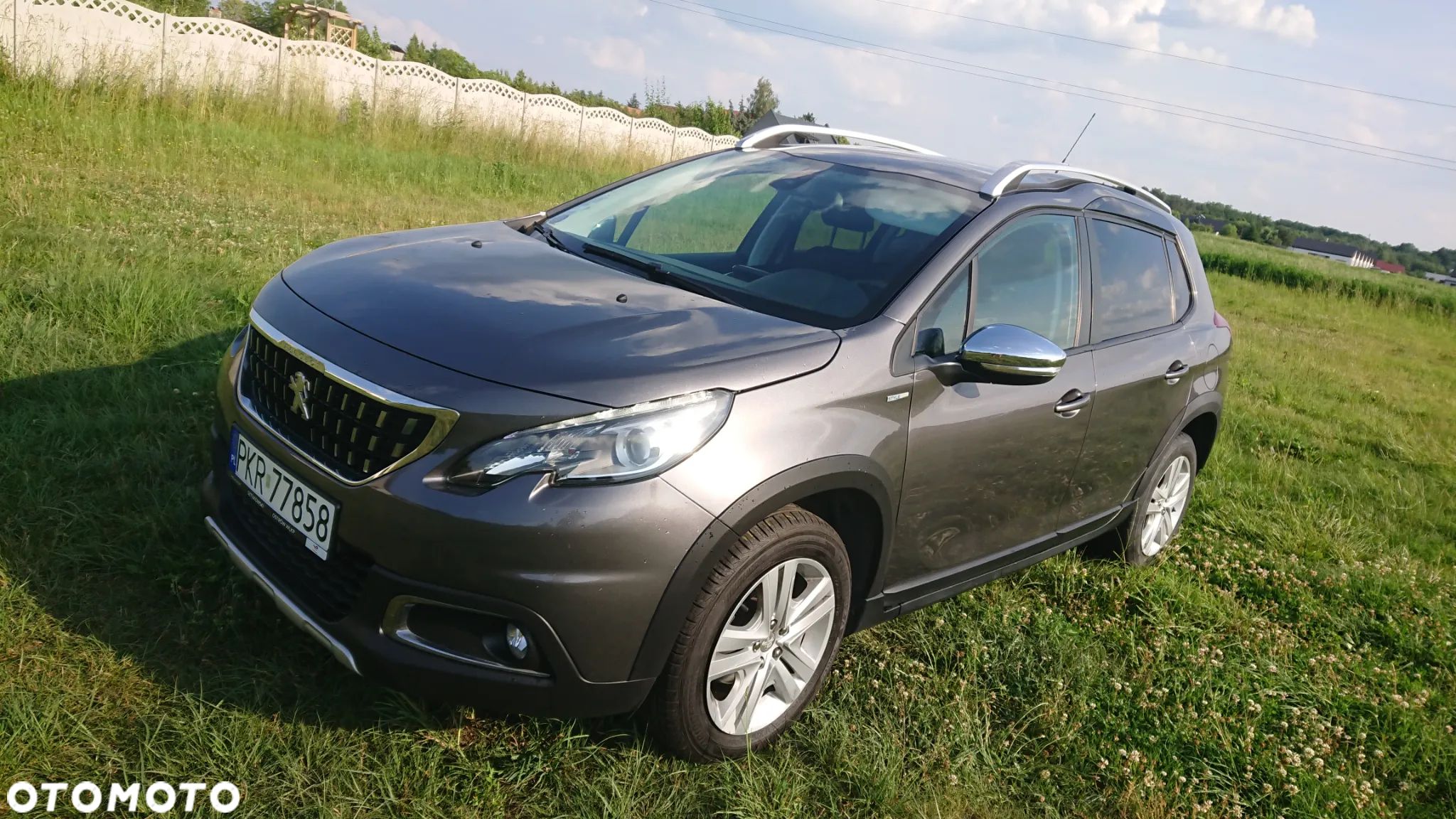 Peugeot 2008 - 1