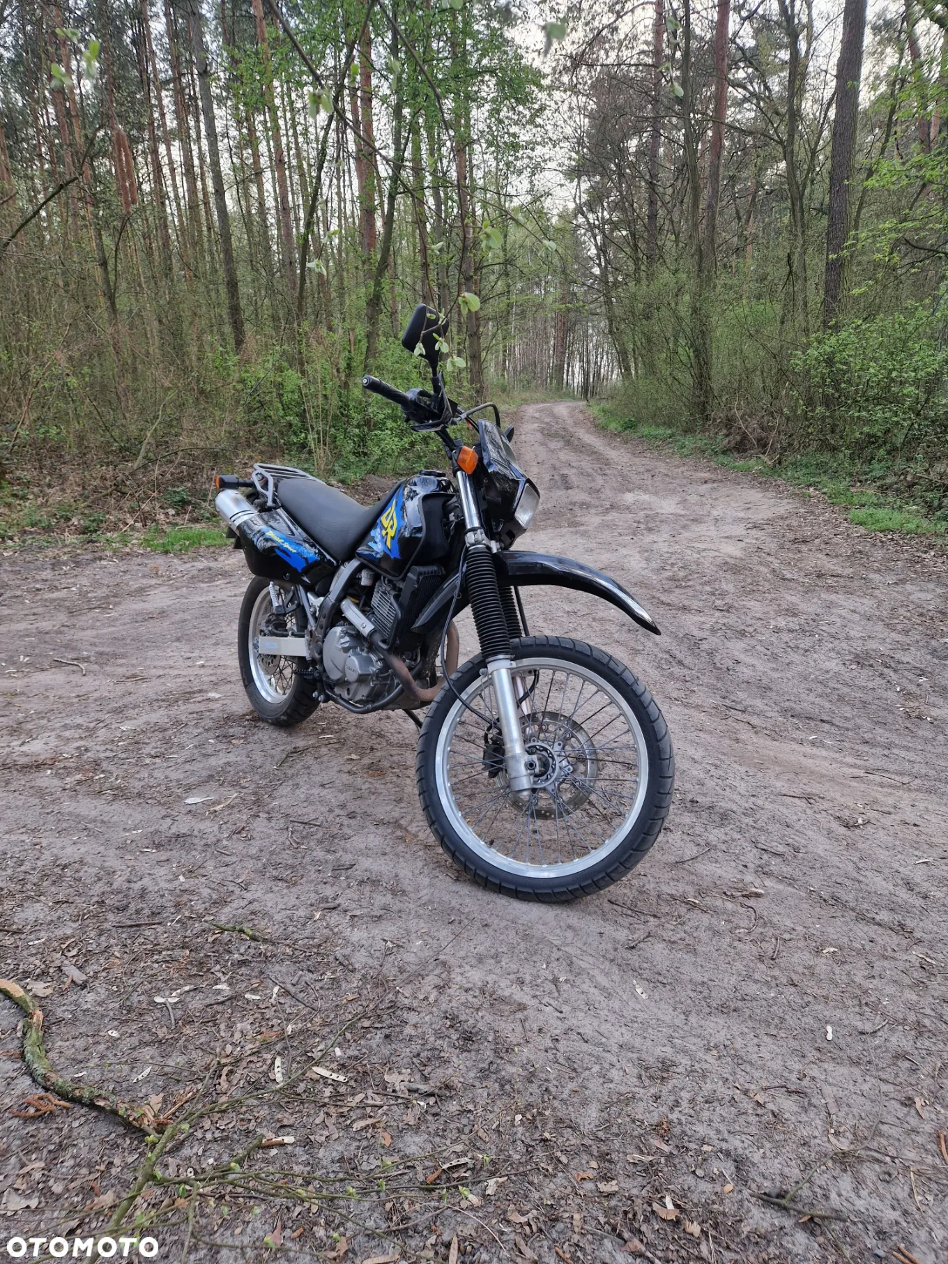 Suzuki DR