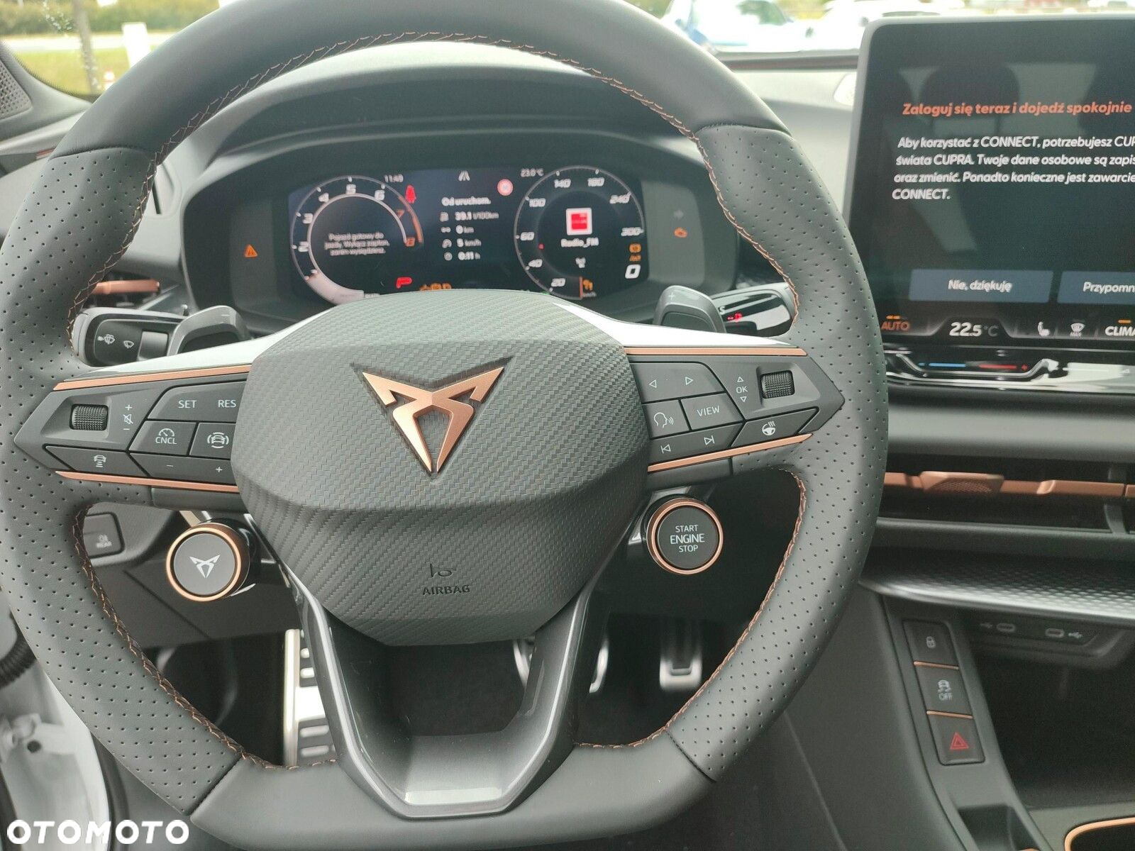 Cupra Terramar - 13