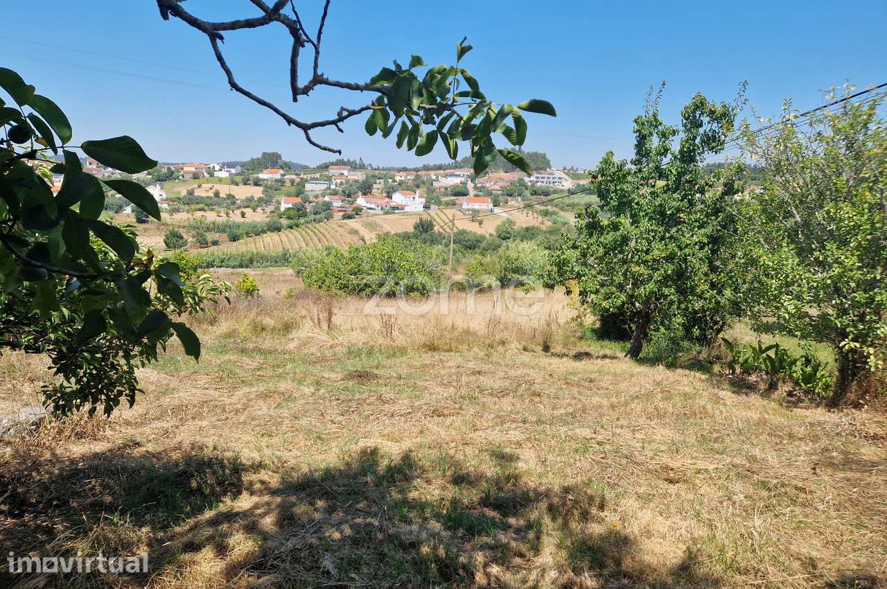Terreno urbano - Casal de Almeida - Grande imagem: 2/22
