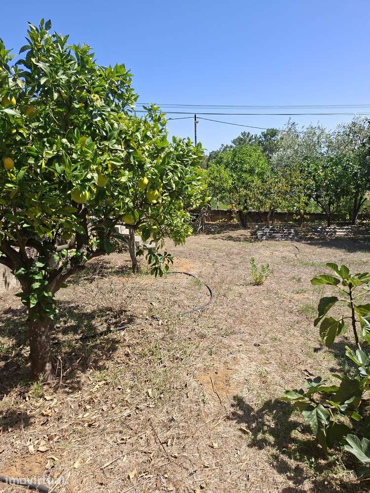 Terreno Urbano em Fernão Ferro, Seixal - 493m² por 240.000€ - Grande imagem: 3/7