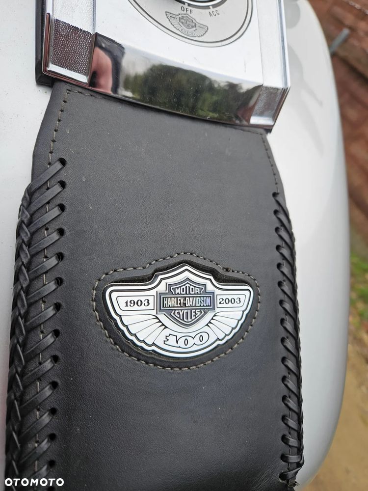 Harley-Davidson Softail Fat Boy - 8