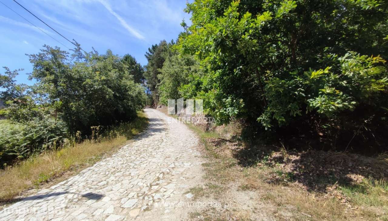 Venda Terreno com 4228m2, Soalhães, Marco de Canaveses - Grande imagem: 5/30