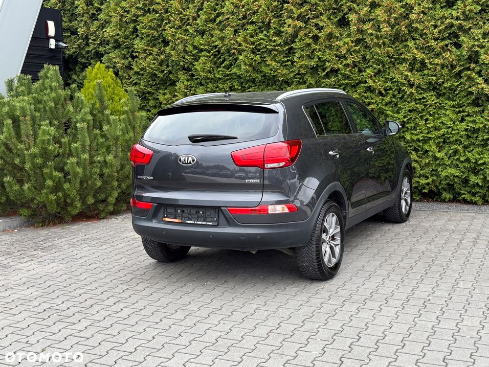 Kia Sportage - 3