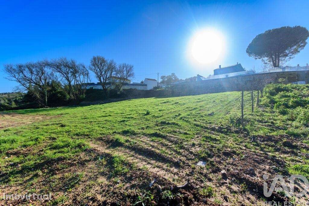 Terreno em Caldas da Rainha - Nossa Senhora do Pópulo, Coto e São Greg - Grande imagem: 3/22