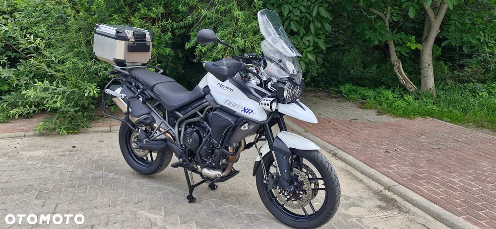 Triumph Tiger - 25
