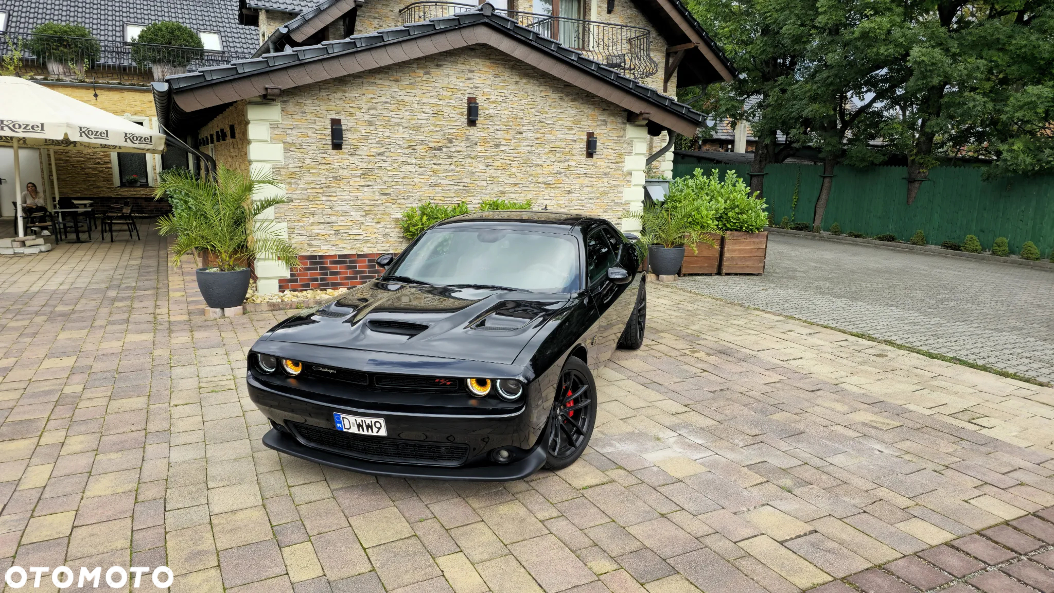 Dodge Challenger 6.4 Scat Pack - 18