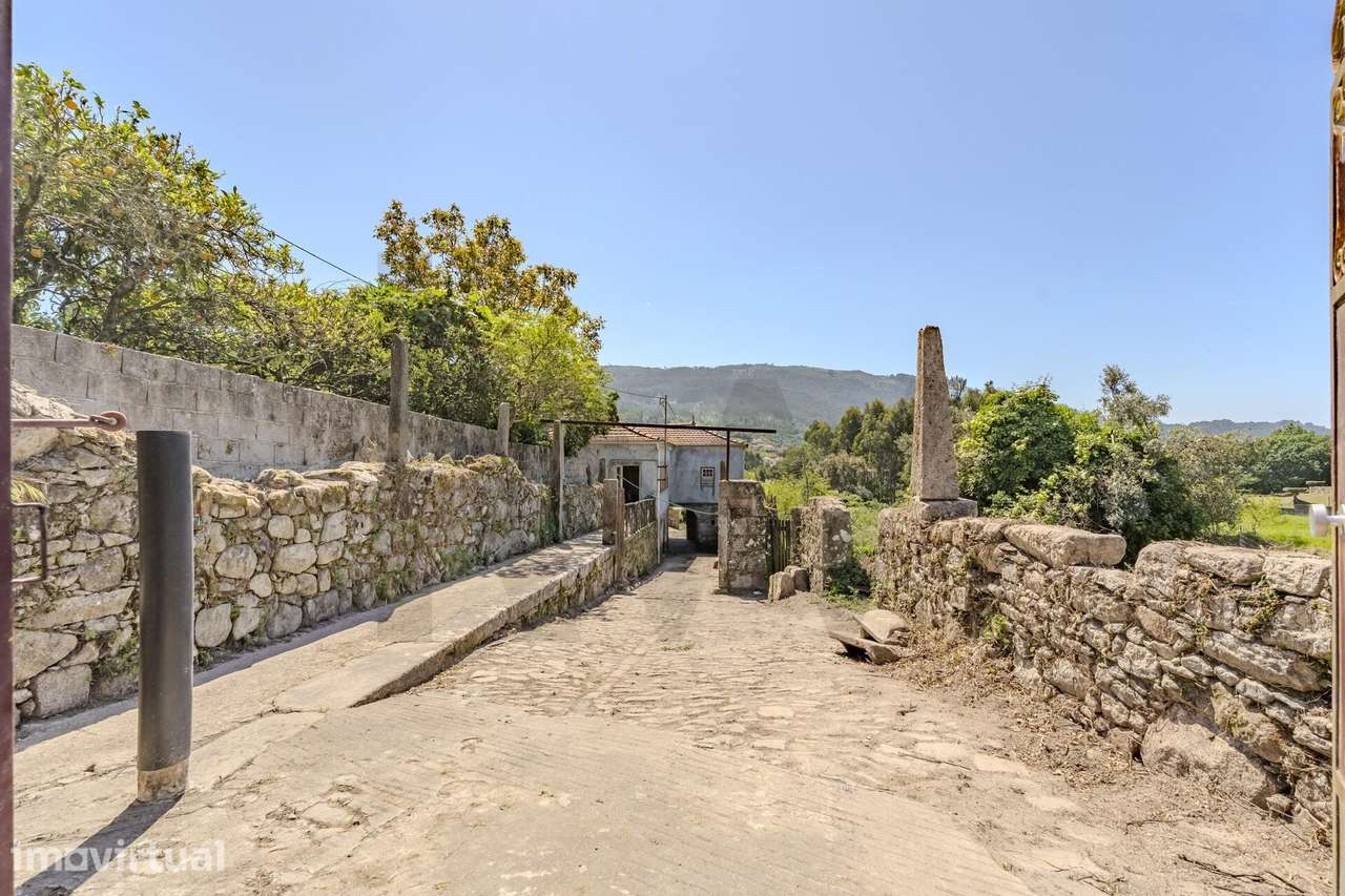 Quinta em Pedra com 5.200 m2 + Terreno para Construção | Riba de Âncor - Grande imagem: 5/60