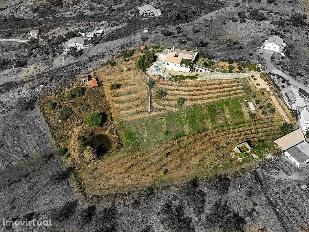 Moradia T3 para venda - Grande imagem: 3/42