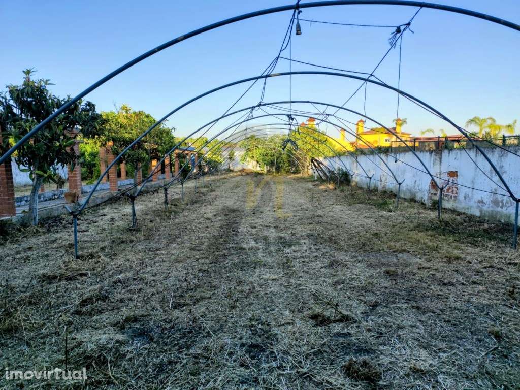 Moradia Independente com restaurante - Grande imagem: 4/30